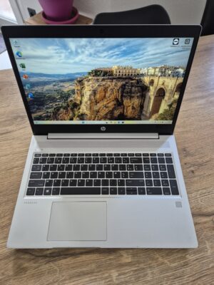 HP Probook 455 G6